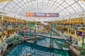 Images 23